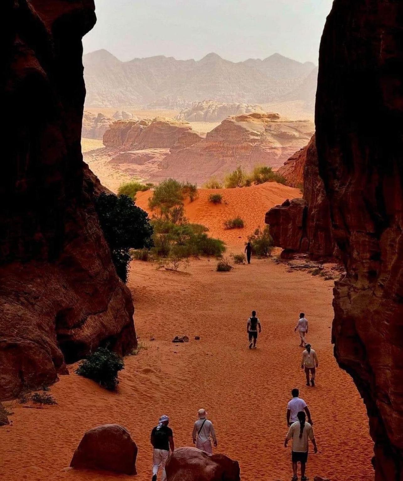 Отель Bedouin Bunch Camp Вади-Рам Экстерьер фото